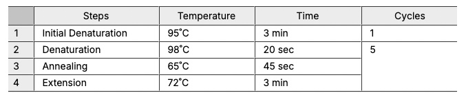 Screen Shot 2025-01-10 at 3.31.52 PM.jpg