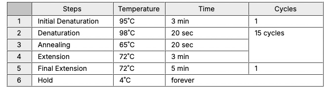 Screen Shot 2025-01-10 at 3.33.30 PM.jpg