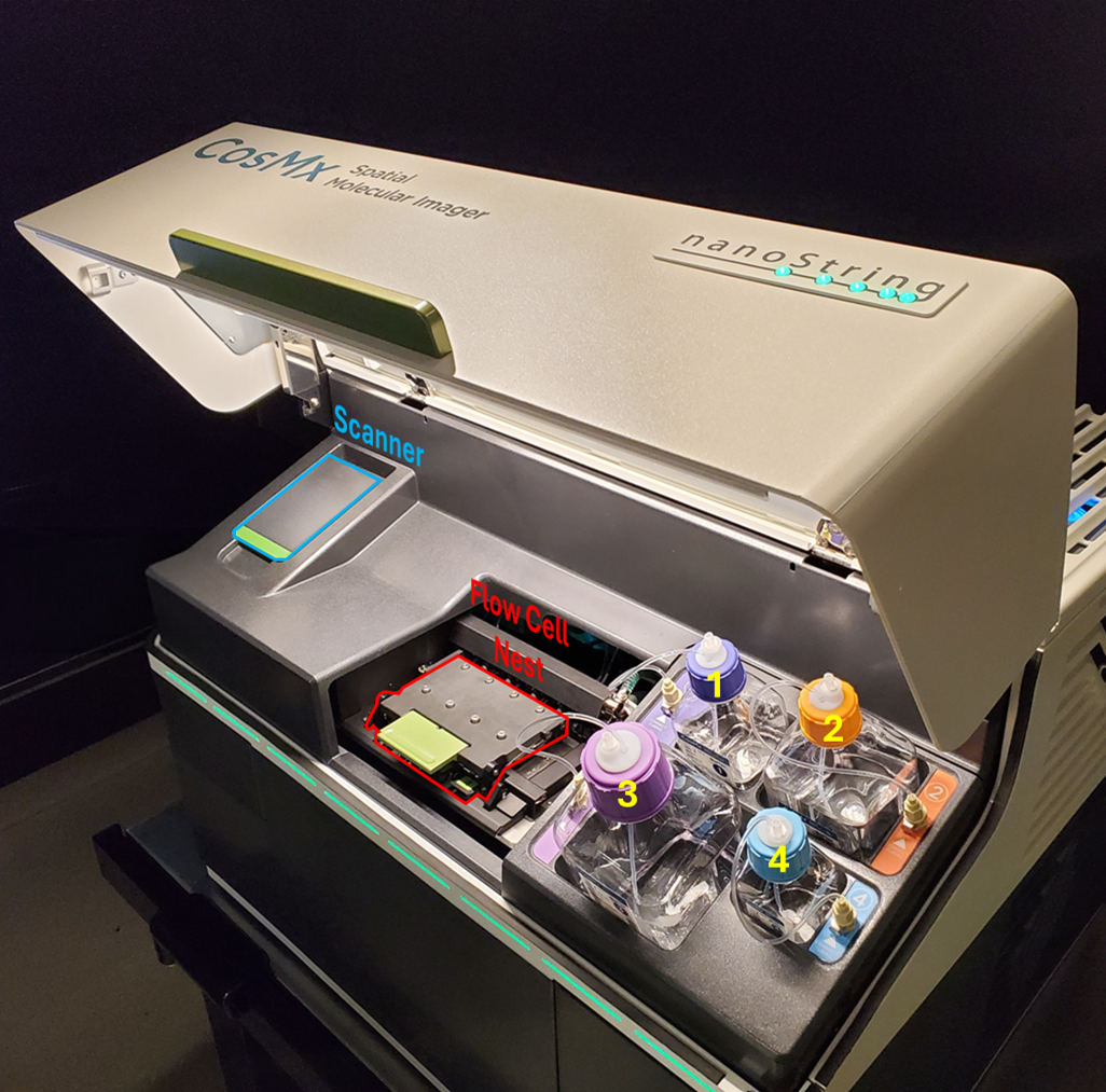 An image showing the CosMx instrument with raise upper door. In the image, the scanner bay door, flow cell nest, and buffer bottle bays are labeled in blue, red, and yellow (respectively).
