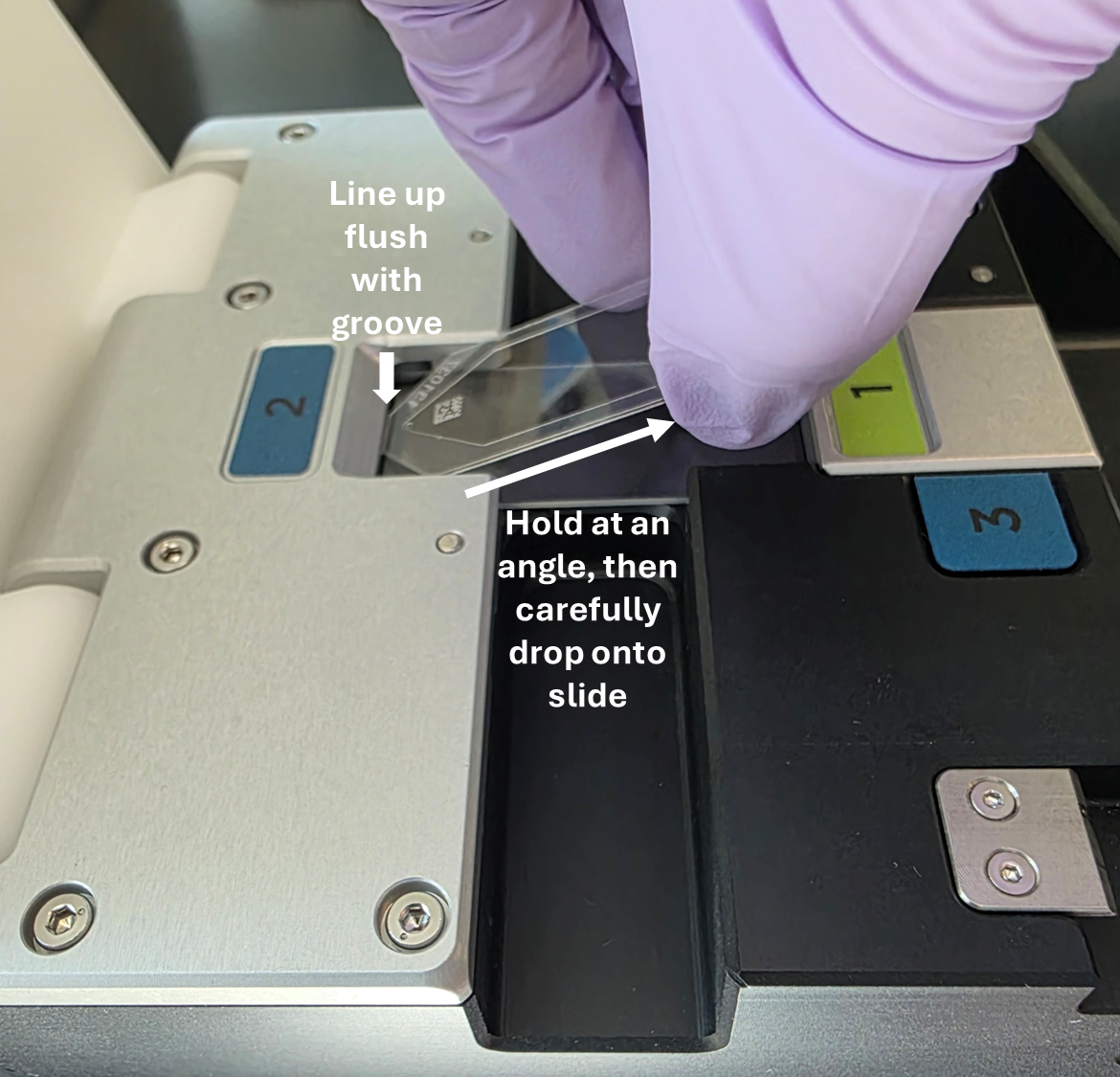 An image showing the tissue slide secured on the slide stage of the flow cell assembly tool. A gloved hand is placing the flow cell coverslip onto the tissue slide using the stage grooves.
